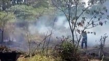 Fumaça de incêndio ambiental traz transtornos a moradores da Região Oeste