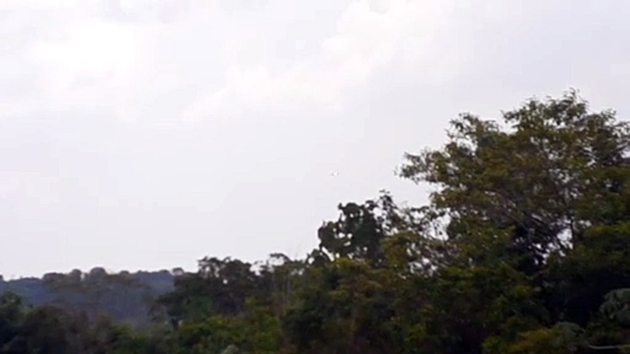 [SBEG Spotting]Boeing 737-800 PR-VBK na final antes de pousar em Manaus vindo de Fortaleza(13/09/2020)