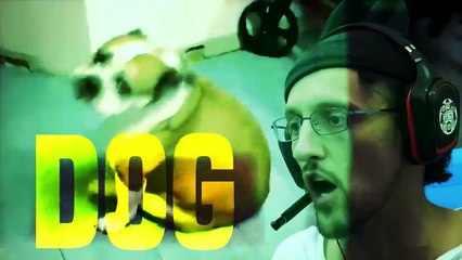 STOP THE SPIDER INVASION FGTeeV Gaming with a Puppy