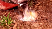 Casting a Yellowjacket Nest with Molten Aluminum