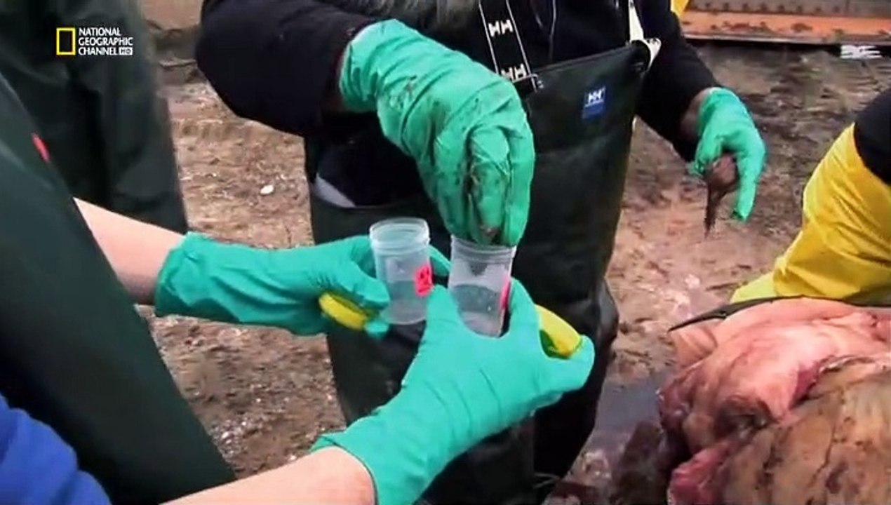 Ilyen lesz a világvége?: Zombi apokalipszis.
