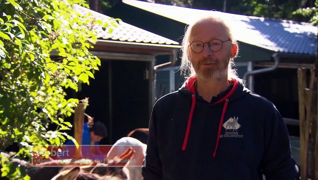 Prachtige omgeving voor een ezelwandeling van Stichting De Ezelsocieteit Enne kijktip..Ezelsocieteit te zien in Weet Ik Veel, bij RTL4.