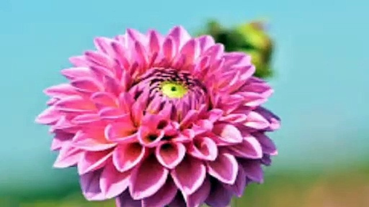 Surah_Muhammad Virtues.  সূরা_মুহাম্মদের_ফযীলত।__of_Surah_MuhammadVirtues