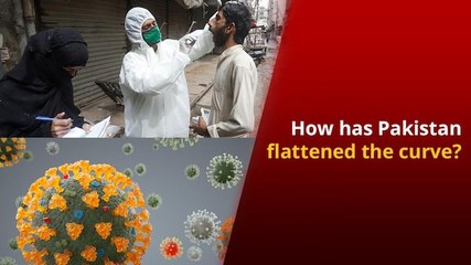 Why Did WHO Appreciate Pakistan?