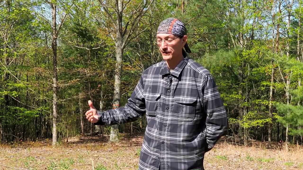 Investing Money Wisely Off Grid To Remain Debt Free