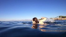 海で泳ぐ女性 by ムービングマネー