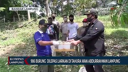 986 Burung Dilepas Liarkan di Tahura Wan Abdurrahman Lampung
