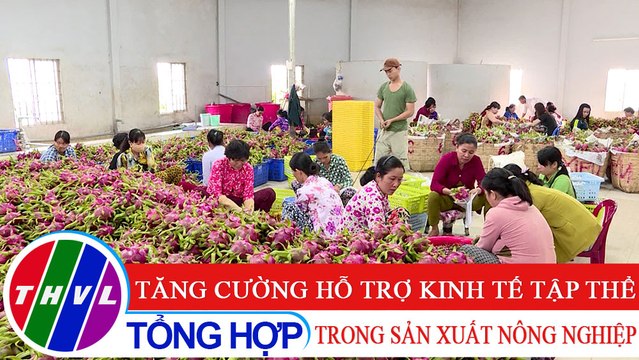 Nông nghiệp bền vững: Tăng cường hỗ trợ kinh tế tập thể trong sản xuất nông nghiệp