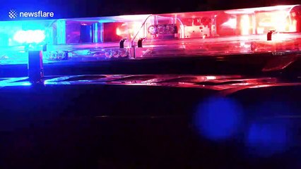 Mosque volunteer stabbed to death in Toronto