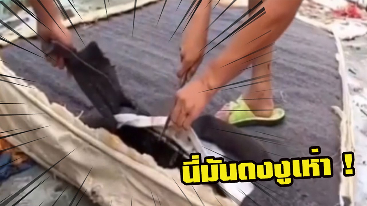 สะพรึง !! ที่นอนเก่าดูธรรมดา แต่พอเปิดมา.. จ๊ากกกก นี่มันดงงูเห่า