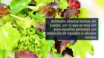 8 propiedades y beneficios de la lechuga