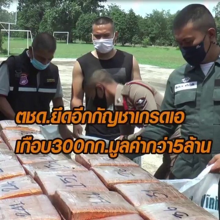 ตชด.ยึดอีกกัญาเกรดเอ เกือบ 300 กก. มูลค่ากว่า 5...