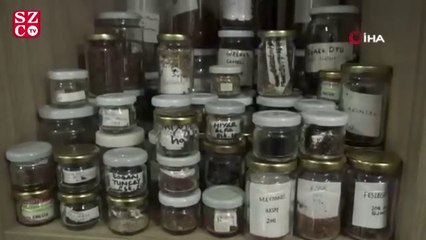 Bu kütüphanede ata tohumu üretiliyor