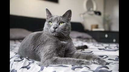 English Synonyms and Antonyms, Section 25: Employ to Enmity