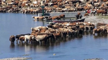 Denizden 2 bin 300 metre yükseklikteki göl sessizliğe büründü