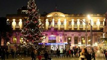 Sapin de Noël supprimé à Bordeaux : le maire envisage une “consultation” après une pétition_IN