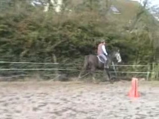 Ordos mai 2006 2eme essaie