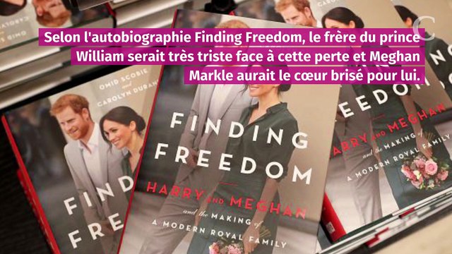 Le prince Harry démoralisé : il a été déchu de ses titres militaires