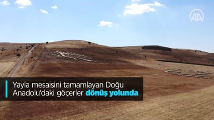 Yayla mesaisini tamamlayan Doğu Anadolu'daki göçerler dönüş yolunda