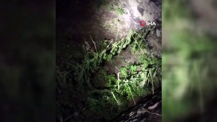 Kars’ta 4 kilo 243 gram esrar ele geçirildi