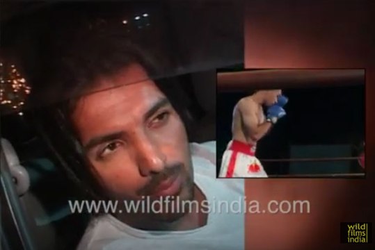 Abhishek Bachchan to Karishma Kapoor: Bollywood actors and sports, relationship cycles