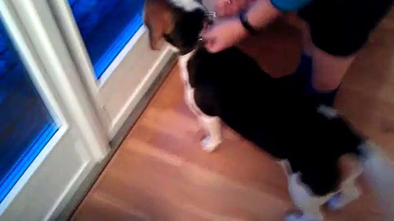 VIDEO0018
