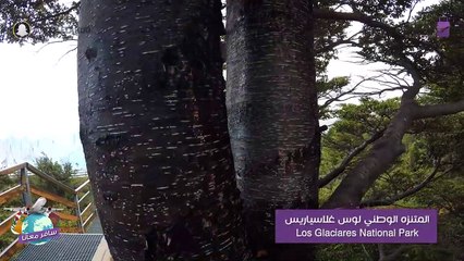 سافر معنا إلى إل كالافاتي: رحلة إلى جبال وأنهار الأرجنتين الجليدية