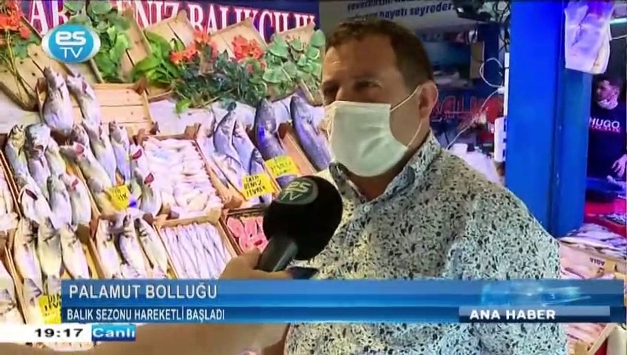 Palamut bolluğu