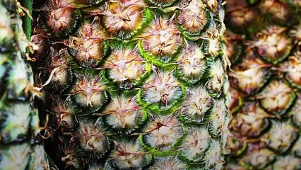 Des feuilles d’ananas recyclées pour conserver les aliments et assainir les eaux usées