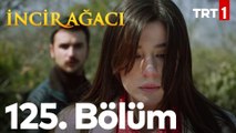 İncir Ağacı 125. Bölüm