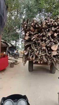 हरी लकड़ी से लदी दिनदहाड़े वन विभाग की नाक के नीचे से गुजर रही ट्रॉलियां
