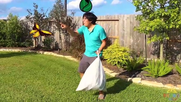 Ryan Earns His Halo with Lots of Good Choices!