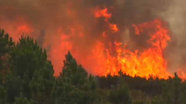Ya se han quemado más de 6500 hectáreas en los incendios de Ourense