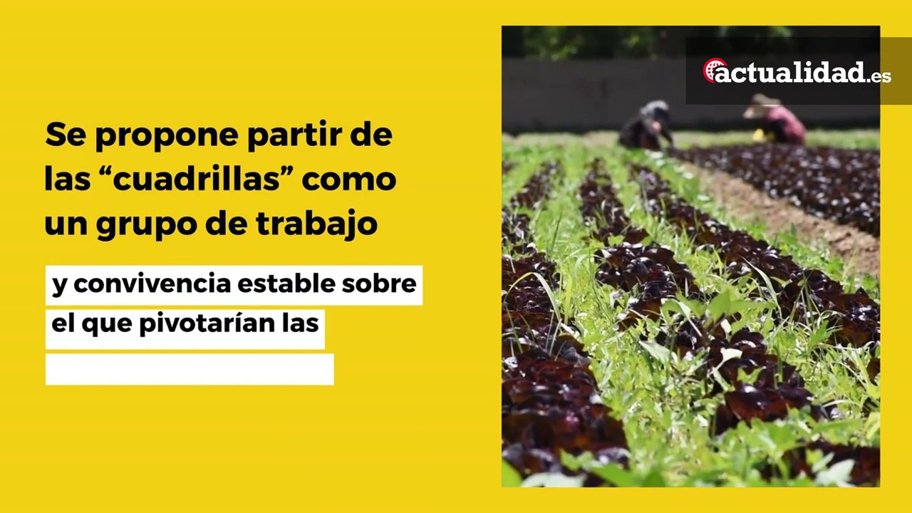 Guìa de recomendaciones para temporeros durante la COVID-19