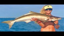 Florida Deep Sea Wreck Fishing for COBIA Video!