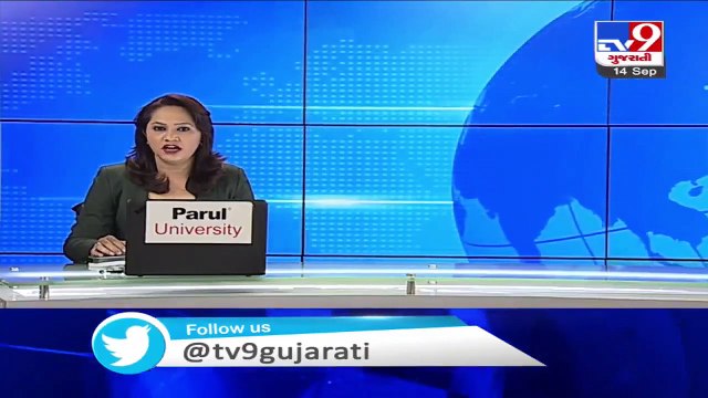 Ganja farming busted in Shehra; farm owner arrested Panchmahal Tv9GujaratiNews