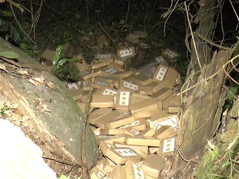 TV Votorantim - Piloto joga droga em zona rural de Piedade e tenta fugir de helicóptero para Ibiúna - Edit: Werinton Kermes