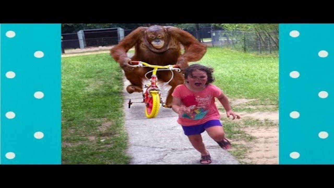 Funny Animals Trolling Babies And Kids