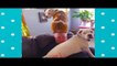 Funniest Dogs Doing Crazy Things Funny Babies And Pets