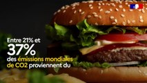 Pourquoi un affichage environnemental dans le secteur de l’alimentation ?