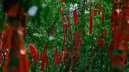 Range Rover Sport SVR  Commercial - Commercials  World, Funny Little Stories. Subscribe to channel!