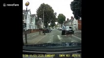 When you gotta go, you gotta go! Cheeky dog holds up traffic on Welsh road