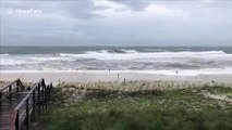 Tropical Storm Sally approaches Gulf Coast causing storm surge in Florida