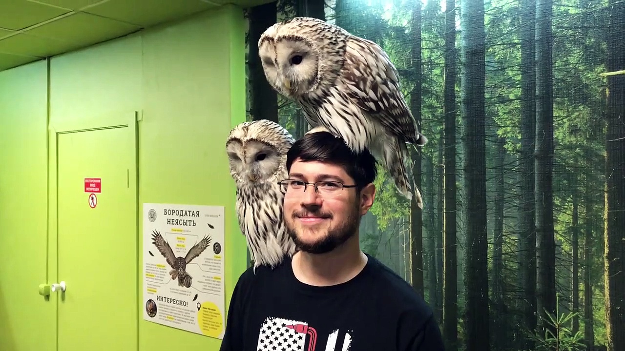 Owl Cafe in Moscow