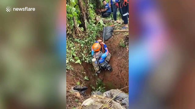 Thai rescuers save stray dogs trapped in 100ft deep abandoned well