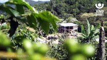 Jalapa: La Gran Milpa de Nicaragua, un tesoro por descubrir