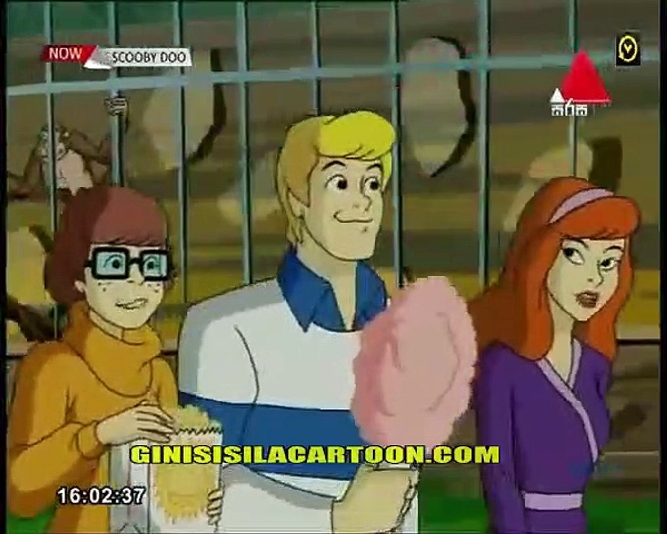 scooby 123