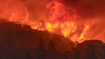5 Ways To Help People Impacted By West Coast Wildfires