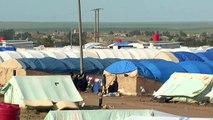 19 women and children forcibly removed from Syrian refugee camp