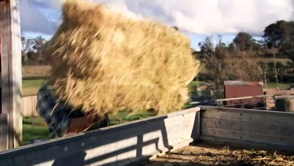 Tasmania pushes for local sports to improve mental health